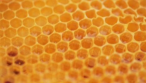 szépségápoló szer